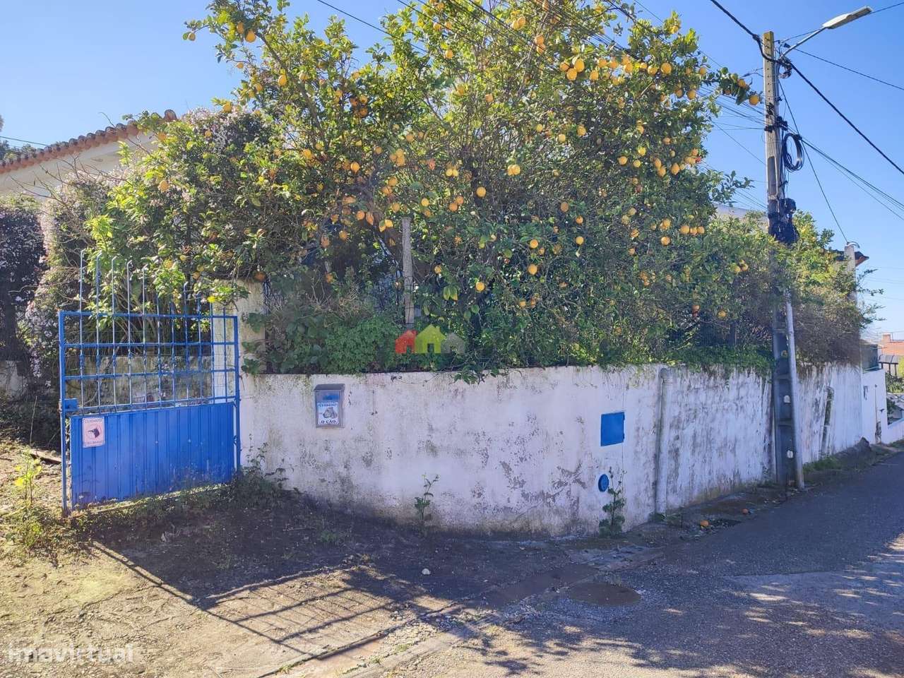 Moradia térrea c/ 680m2 de terreno na Carregueira – Chamusca - Grande imagem: 2/13