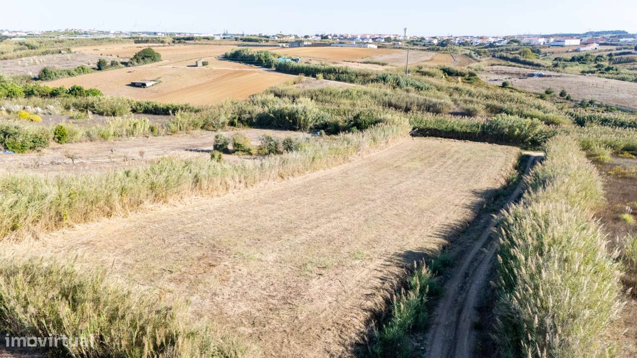Terreno Rústico com 3.600 m² em Atouguia da Baleia - Grande imagem: 5/8