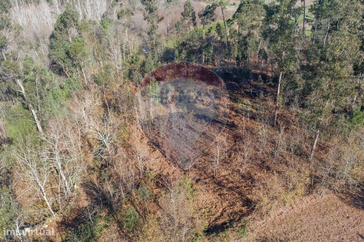 Terreno  para venda - Grande imagem: 5/11