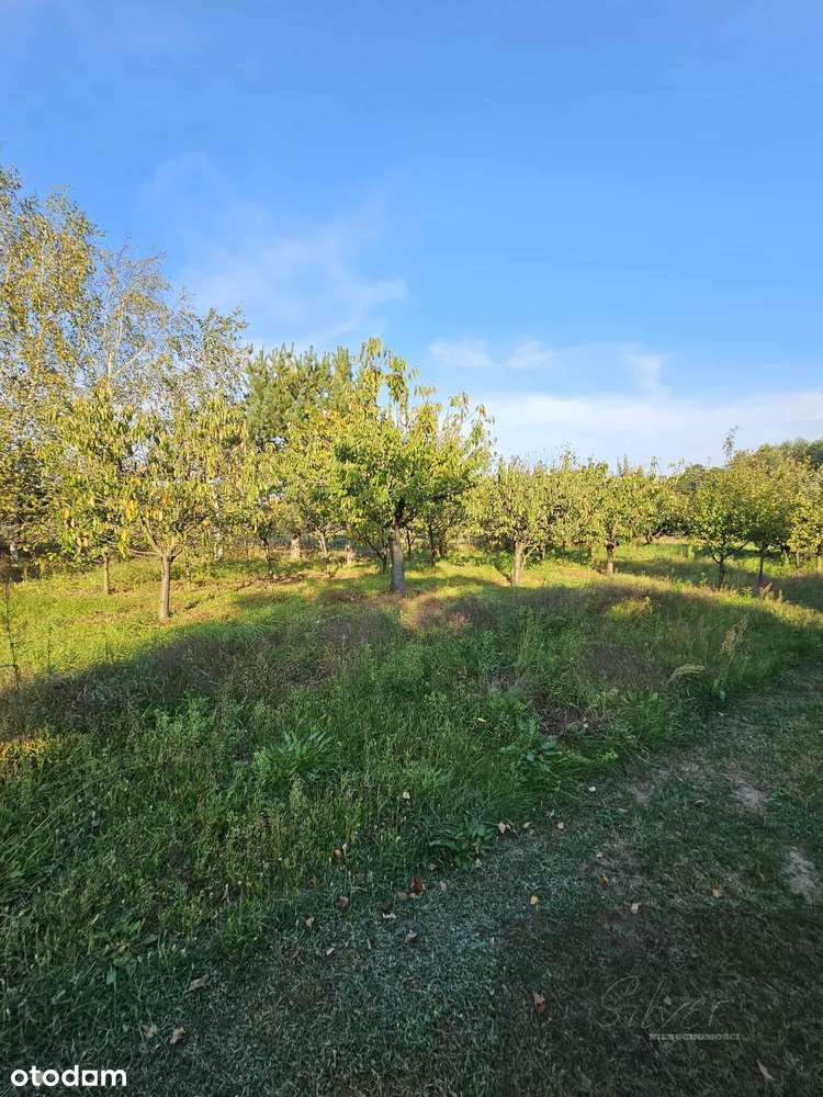 Dom, 160.0 m², Kamion-17