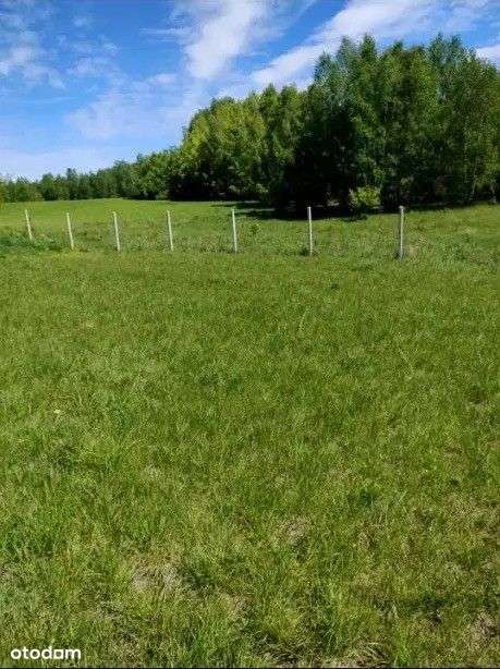 3000m2 z wydanymi warunkami zabudowy, ogrodzona. - Pełny obrazek: 5/14