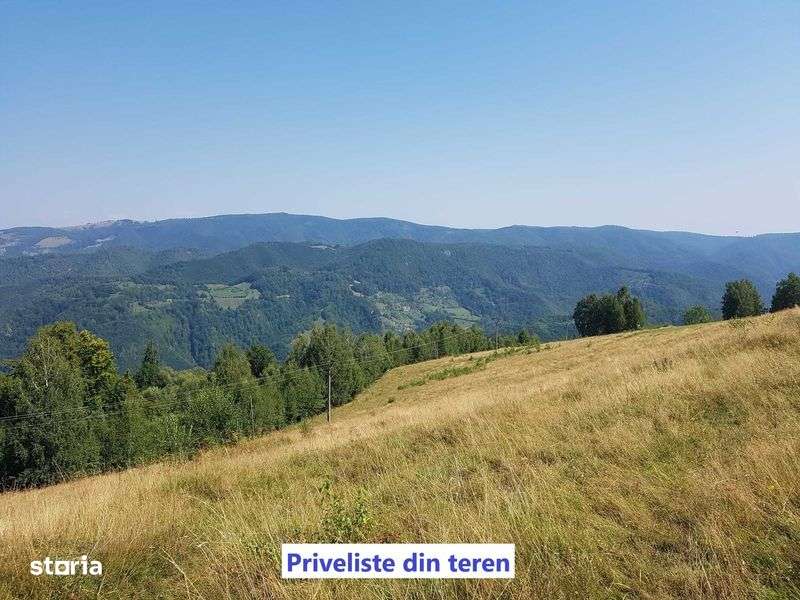 Teren Intravilan 6118mp + Extravilan 48175mp pentru orice investitii! - Imagine principală: 5/8