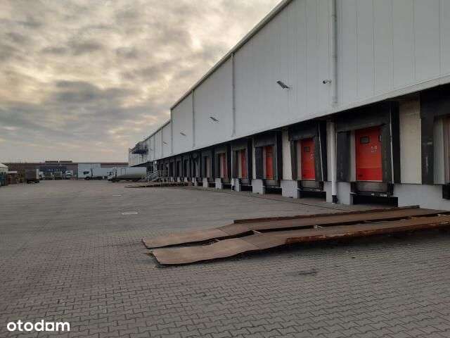 Powierzchnia Magazynowa Błonie pod Warszawą - Pełny obrazek: 4/14