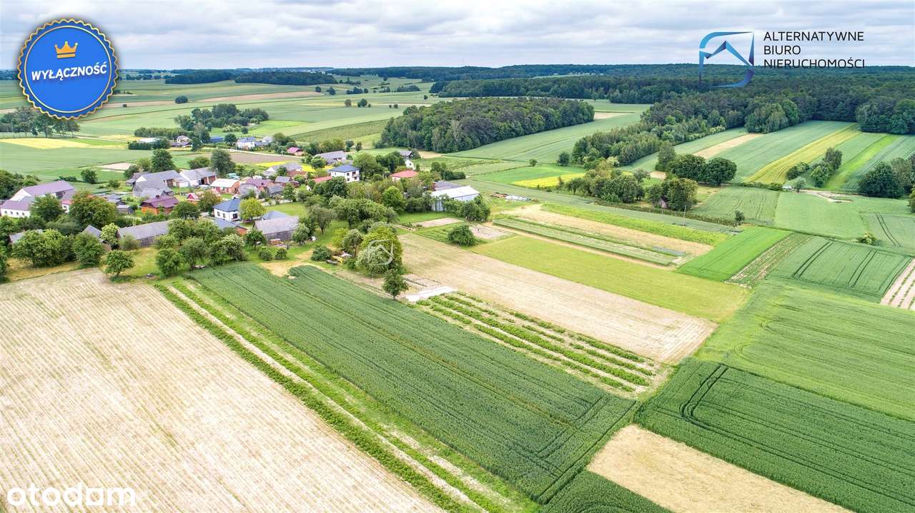 Działka budowlana w Hucie gm. Żółkiewka - Pełny obrazek: 4/10