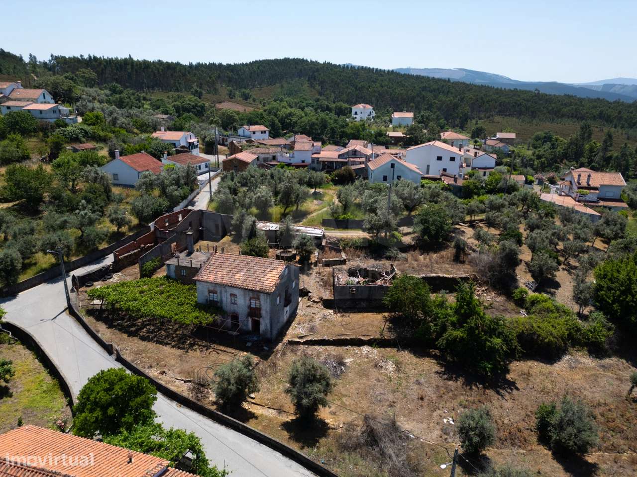 PROPRIEDADE DE CARÁTER NA N2 | 400 m² DE CONSTRUÇÃO, OLIVAL E POTEN...-12