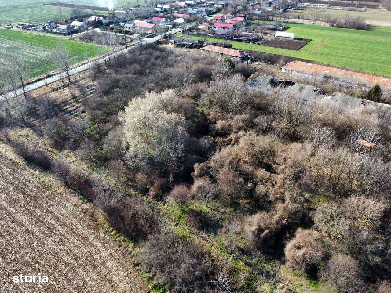 Ferma si livada de meri in judetul Ilfov-4