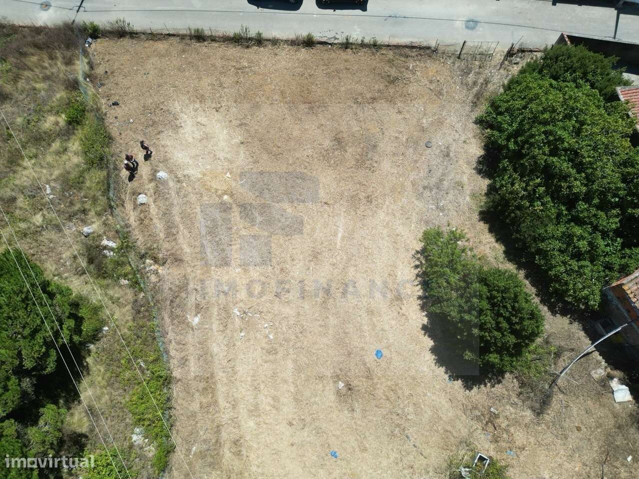 Terreno Urbano em Serra Del Rei-11