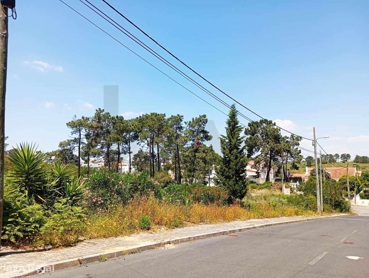 Terreno para Construção de Moradia – Oportunidade Única na Verdizela - Grande imagem: 2/16