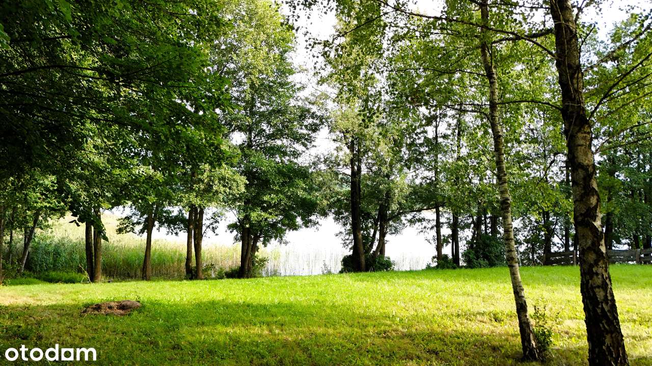 Działka z linią brzegową w miejscowości Bielskie - Pełny obrazek: 4/12