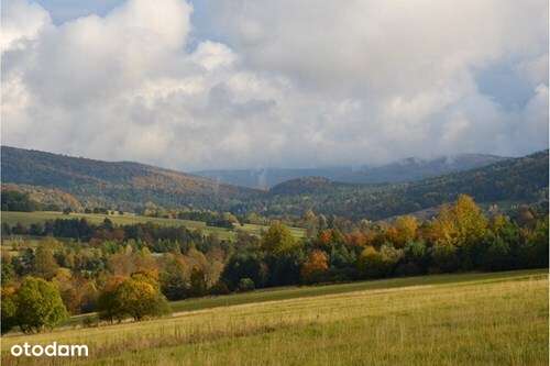 Krajobrazowa działka 3ha, WOŁOWIEC, Beskid Niski-2