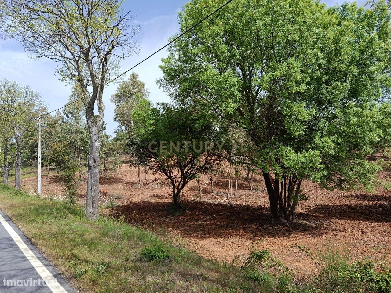 Terreno Rústico com 1.6ha Monfortinho-13