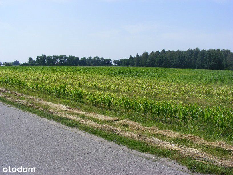 Działka, 28 315 m², Krapkowice