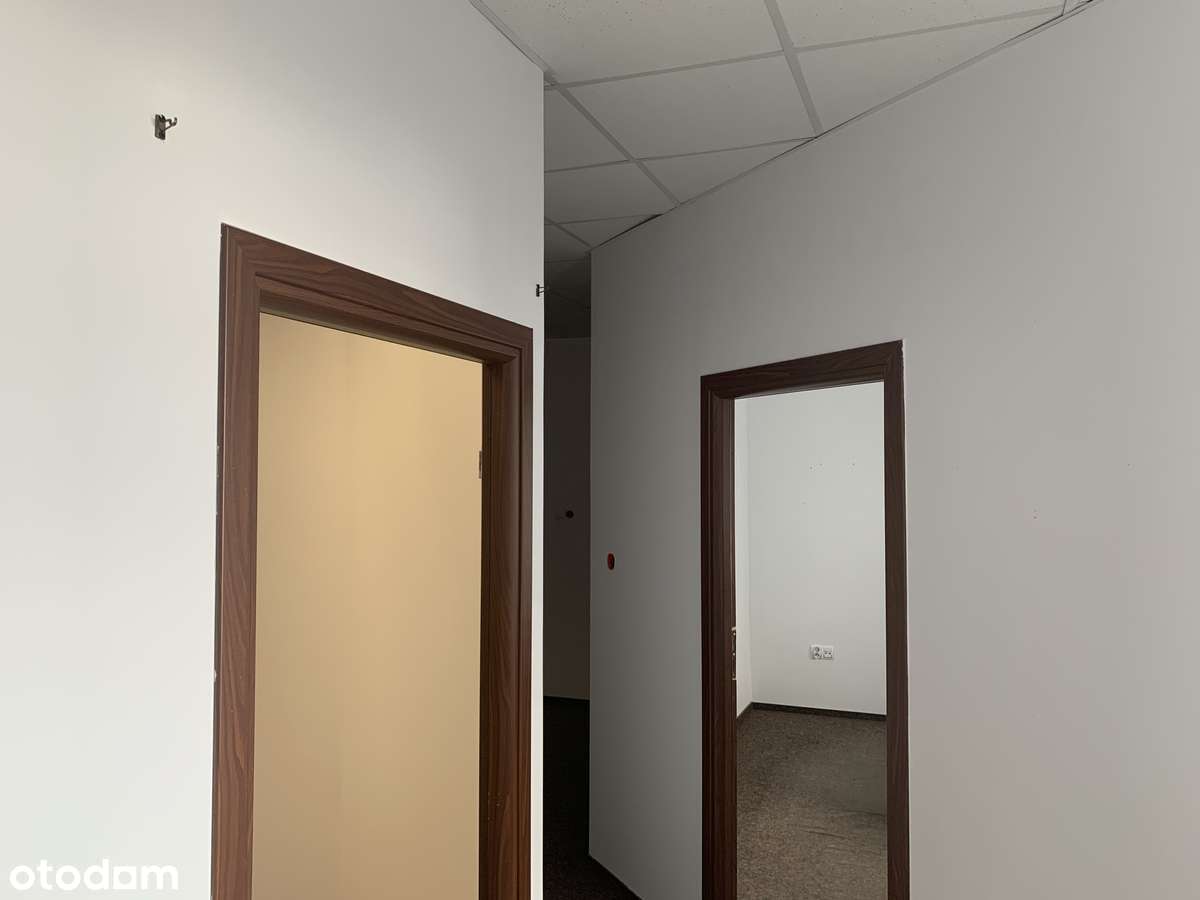 Lokal na wynajem 150 m² z parkingiem - Pełny obrazek: 2/13