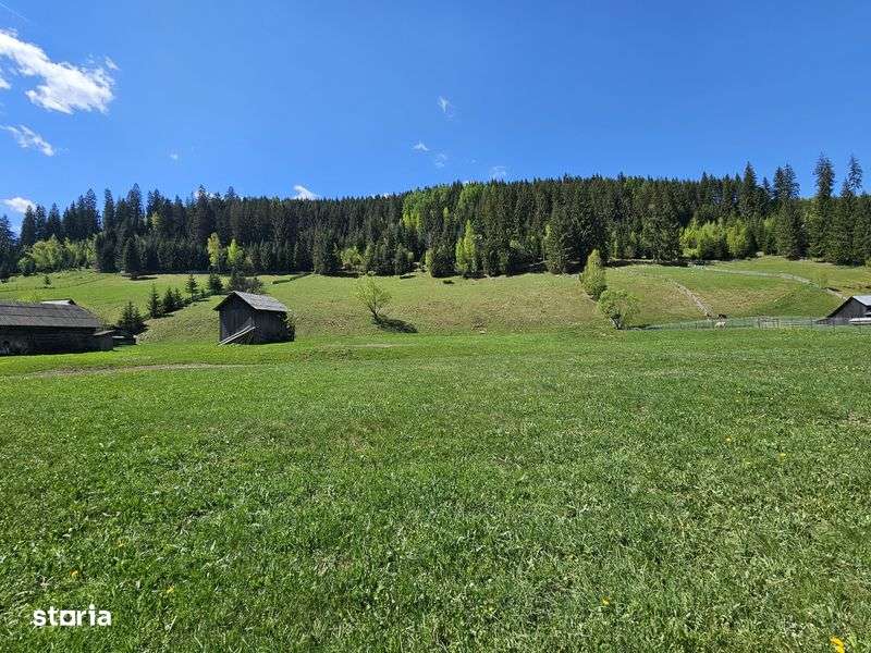 Teren de vanzare in Bucovina zona Pojorata pe Transrarau - Imagine principală: 4/7