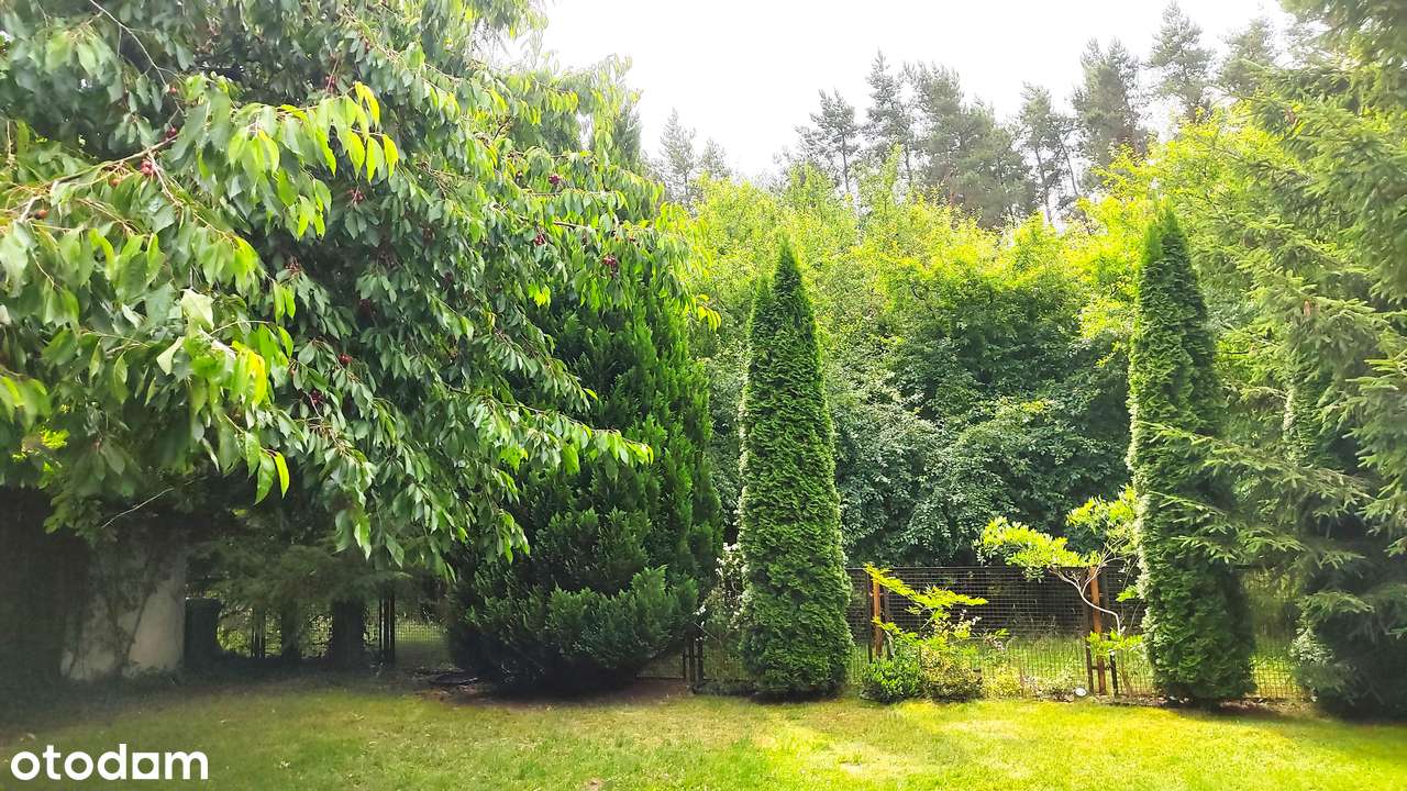 Mieszkanie 6-pokojowe 144m2, ogródek, garaż, nad morzem k. Kołobrzegu-7