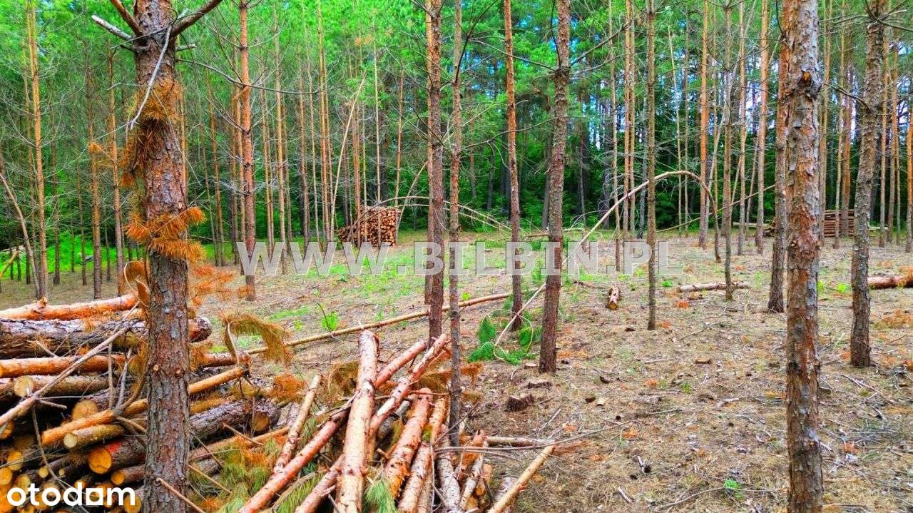 Kup działkę w cichej okolicy ! - Pełny obrazek: 4/5