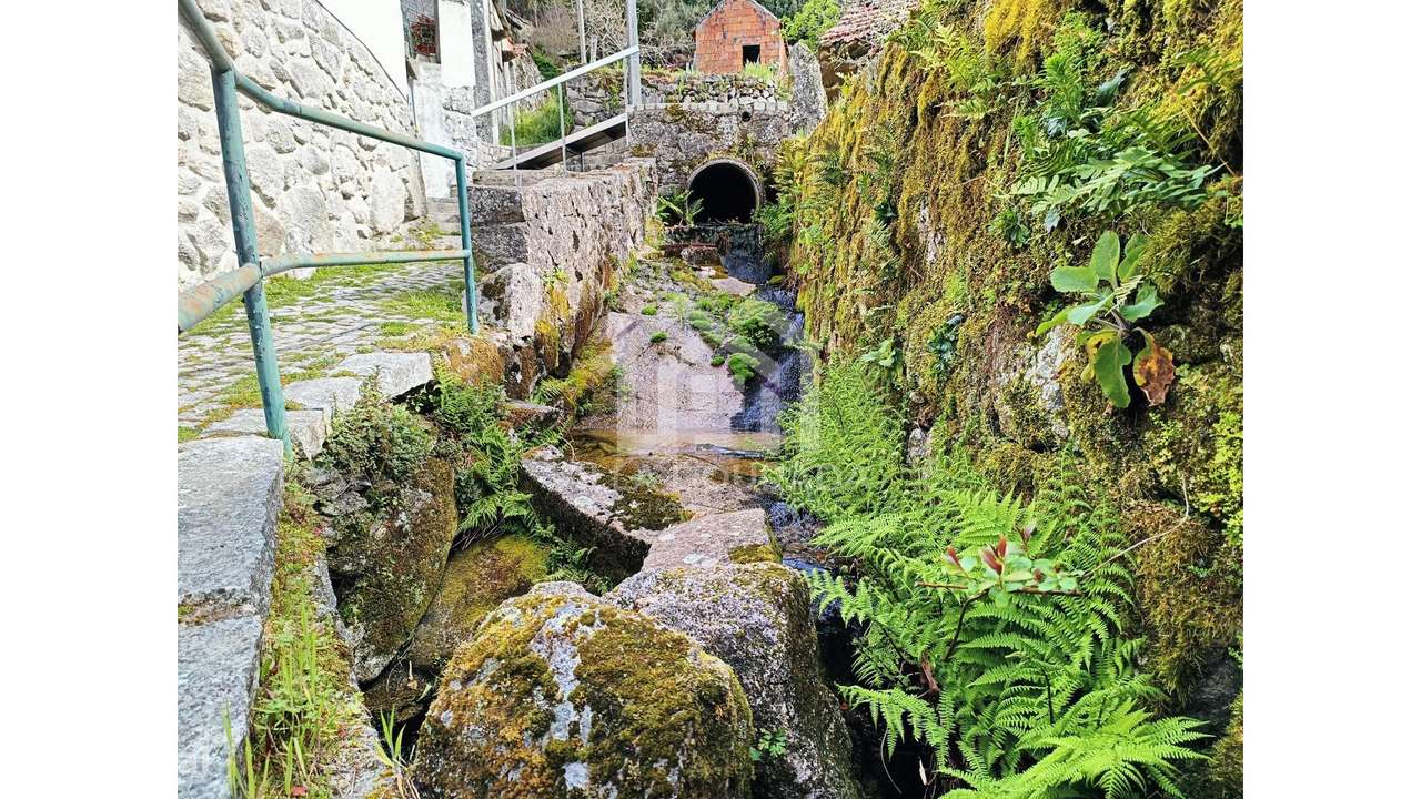 Oportunidade Única em Farves, Vouzela!-31