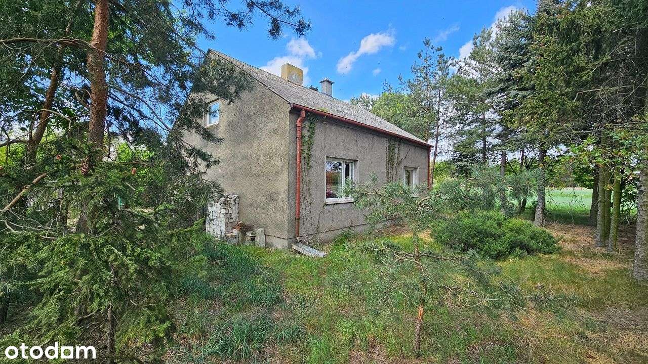 Siedlisko z potencjałem – Piotrków Kujawski, możliwość podziału-3