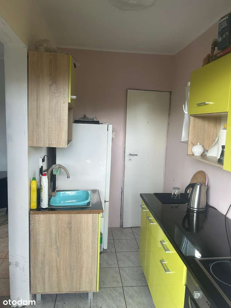 Atrakcyjna działka ROD Prądy. - Pełny obrazek: 5/15