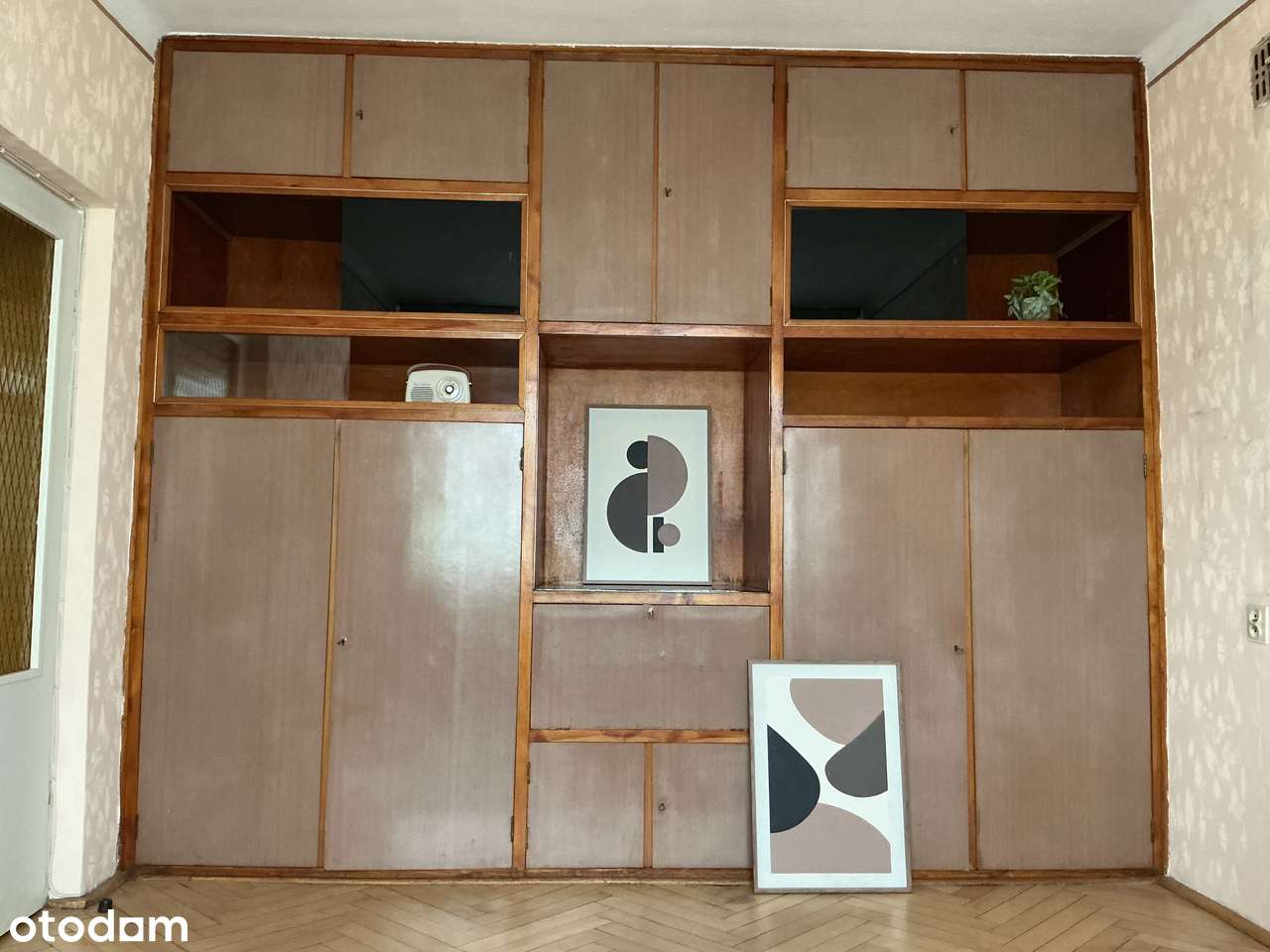 Dwa duże pokoje skąpane słońcem-5