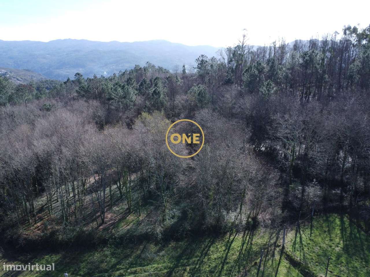 Bouça florestal com 8000m2 em Valdreu – Excelente oportunidade - Grande imagem: 5/23