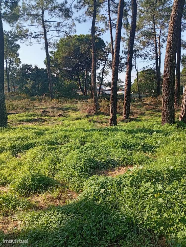Terreno na Lagoa de Albufeira - Grande imagem: 2/5