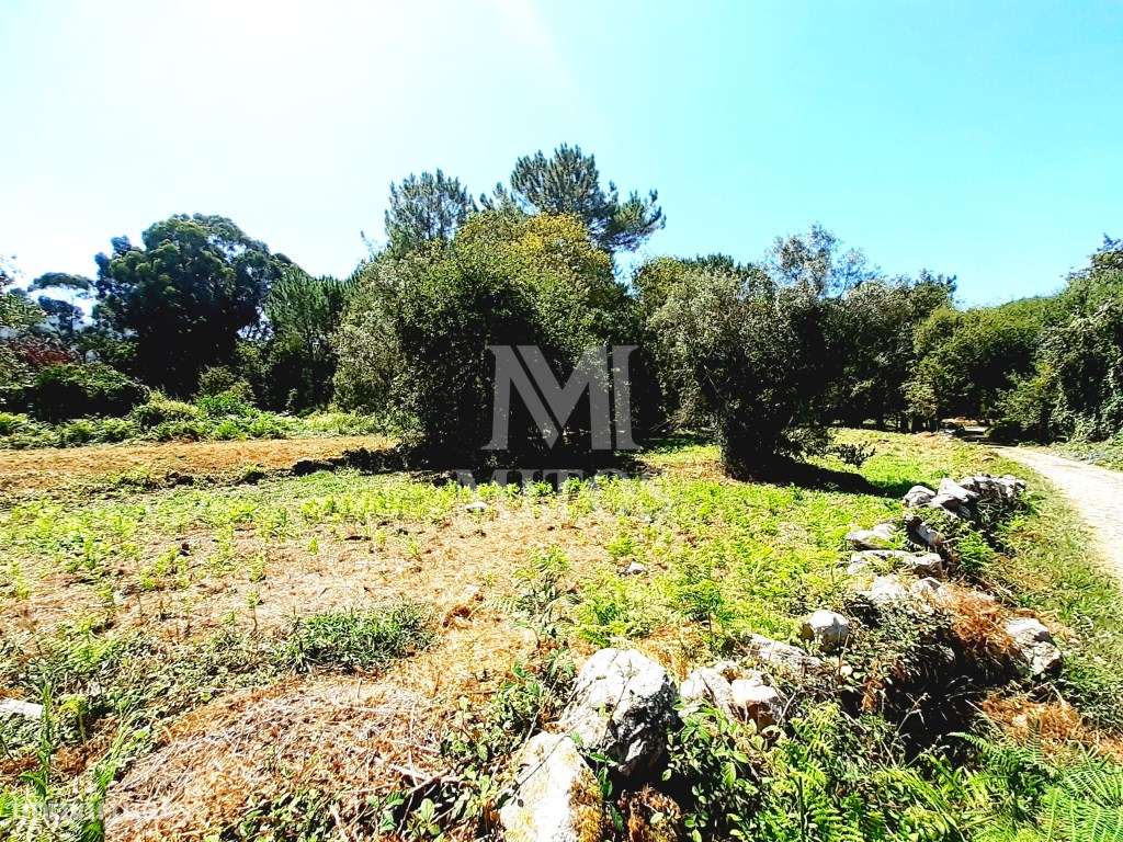 Terreno para construção em Afife - Grande imagem: 5/10