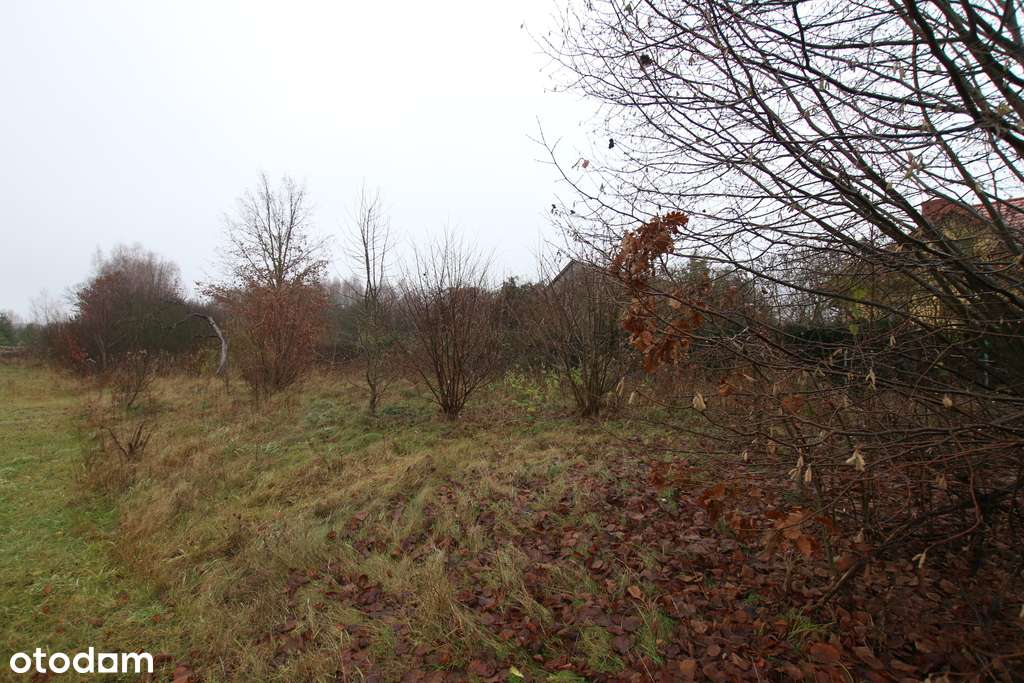 Działka rolno budowlana  1,1 ha Wola Mieczysławska-7