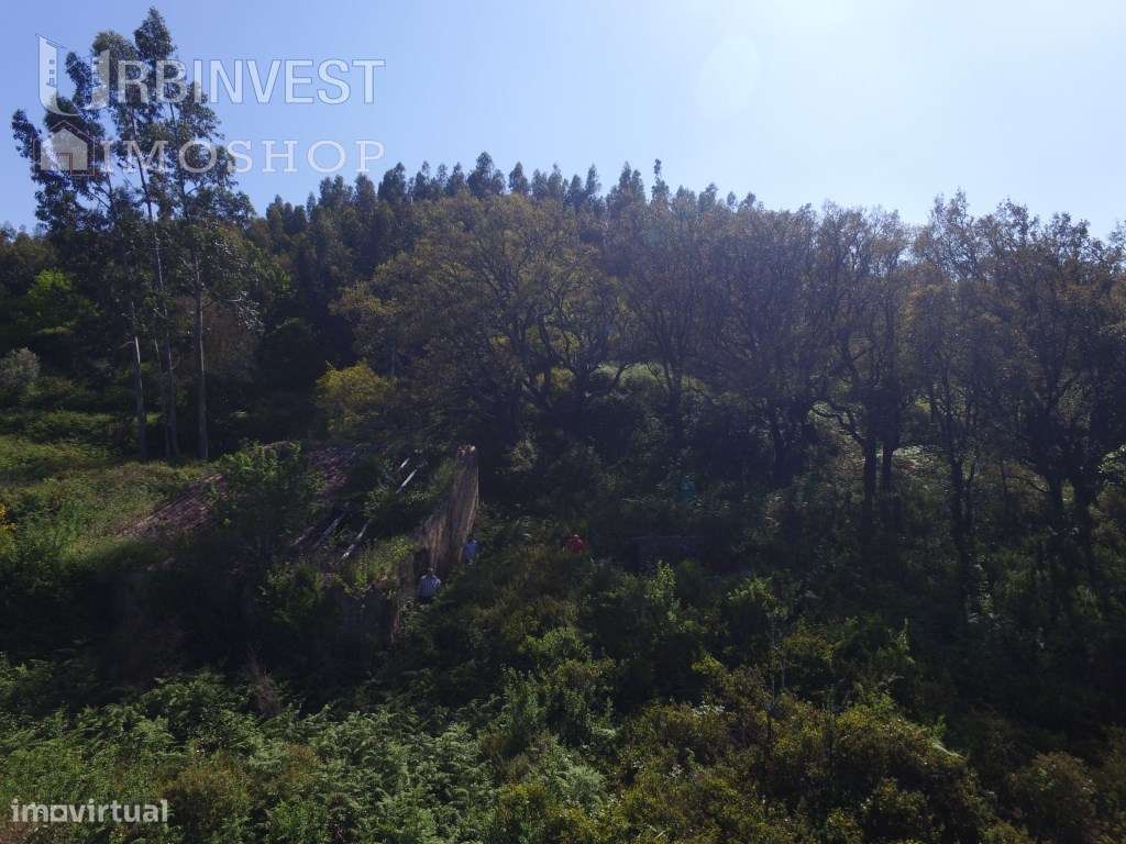 Terreno rústico com casa para restaurar em Monchique. - Grande imagem: 4/14