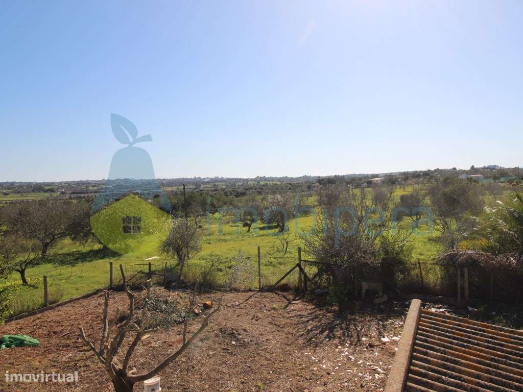Moradia Isolada T4, térrea, de um só piso, com terreno de 3.540m2. - Grande imagem: 5/25