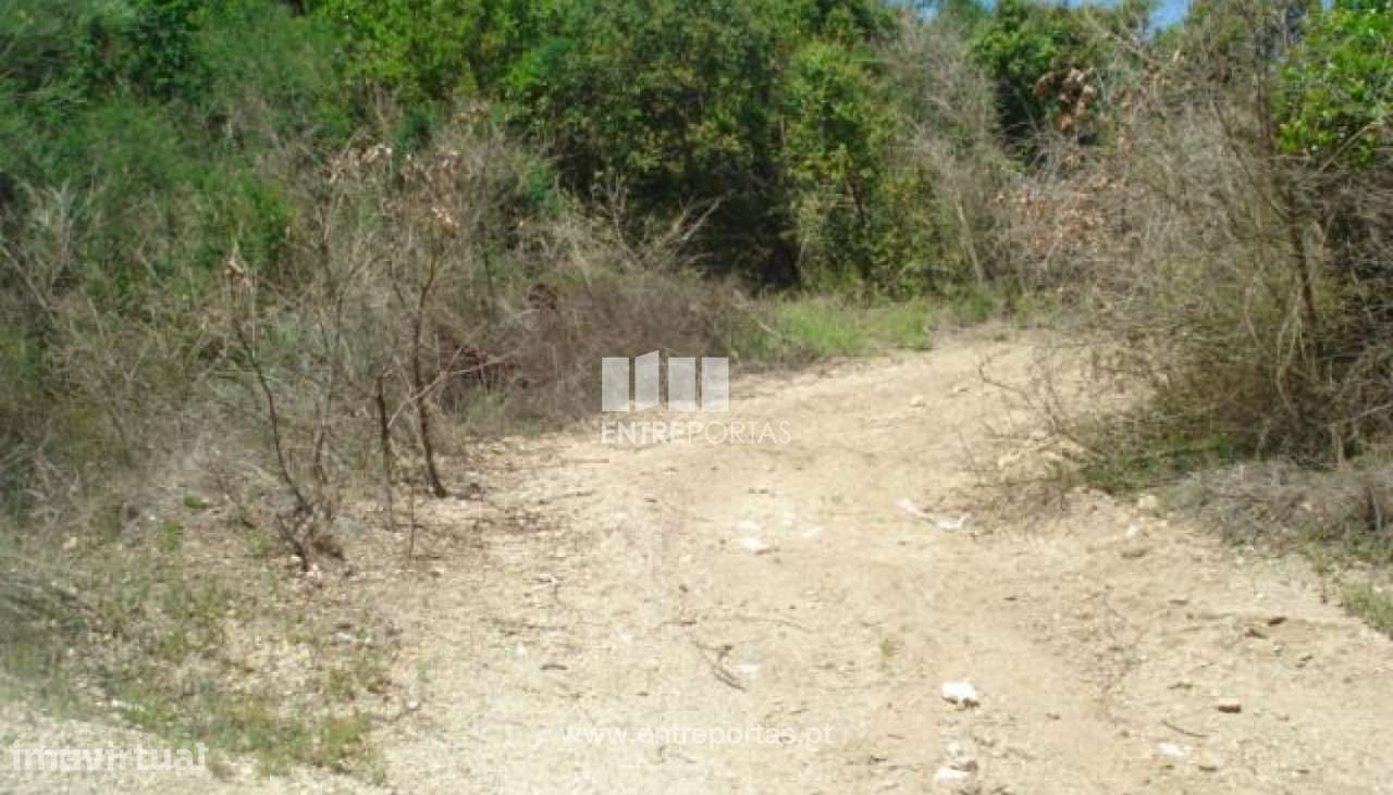 Venda Terreno, junto à estrada, Santa cruz do Douro, Baião - Grande imagem: 5/6