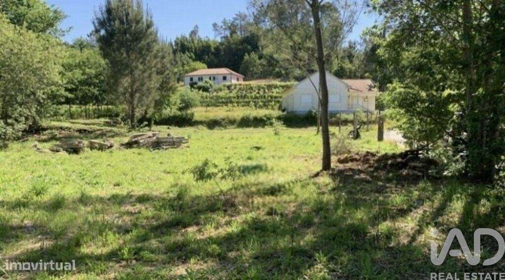 Terreno misto em Covas - Grande imagem: 5/6