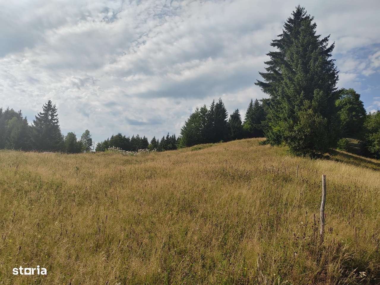 teren Colibita - 2 hectare - acces direct din drumul 173 D-4