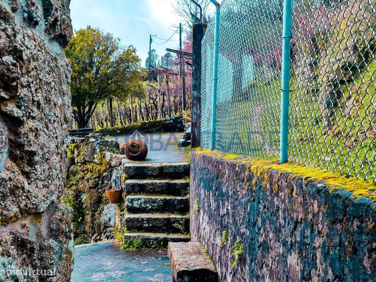 Quinta com 5250 m² & Moradia T1 em Pedra – Baião-12