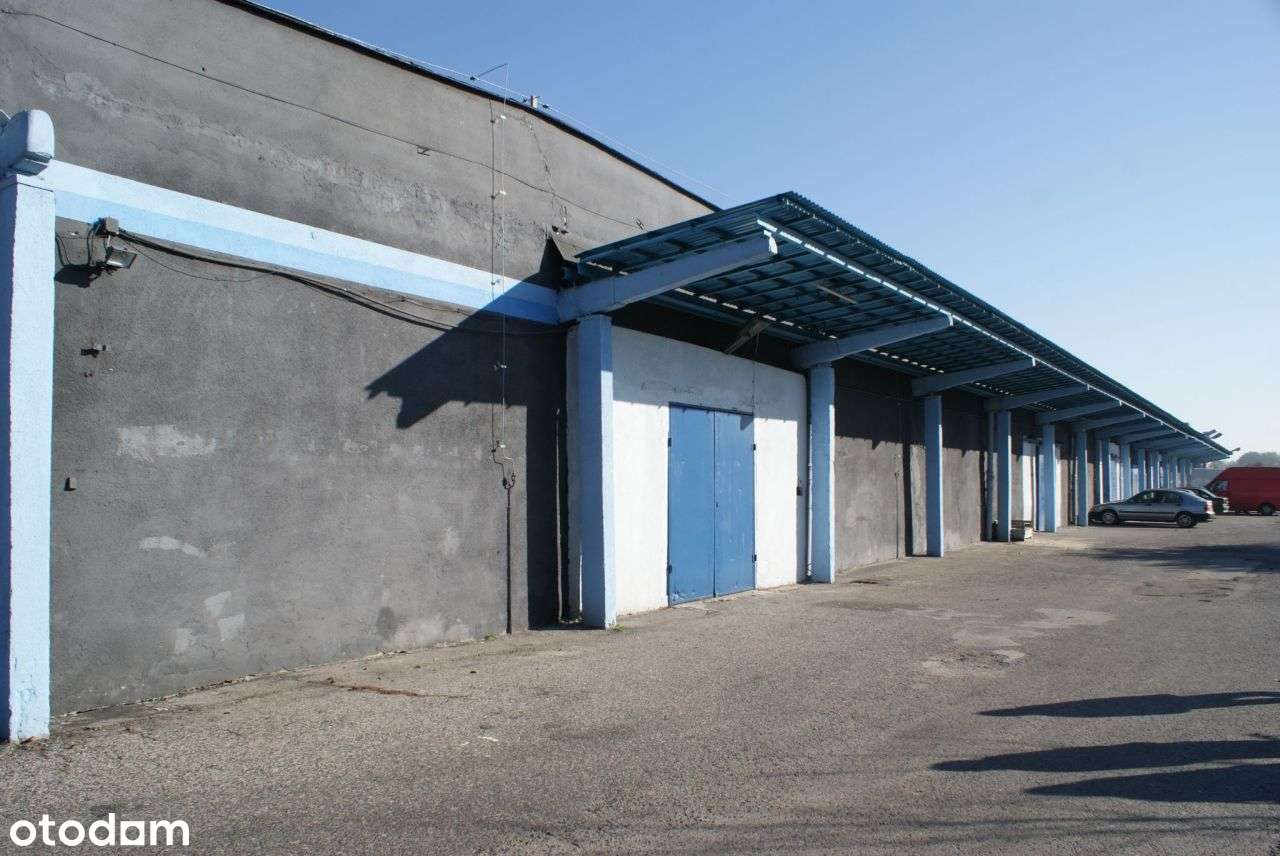 Hala/Magazyn, 864 m², Radom - Pełny obrazek: 5/6