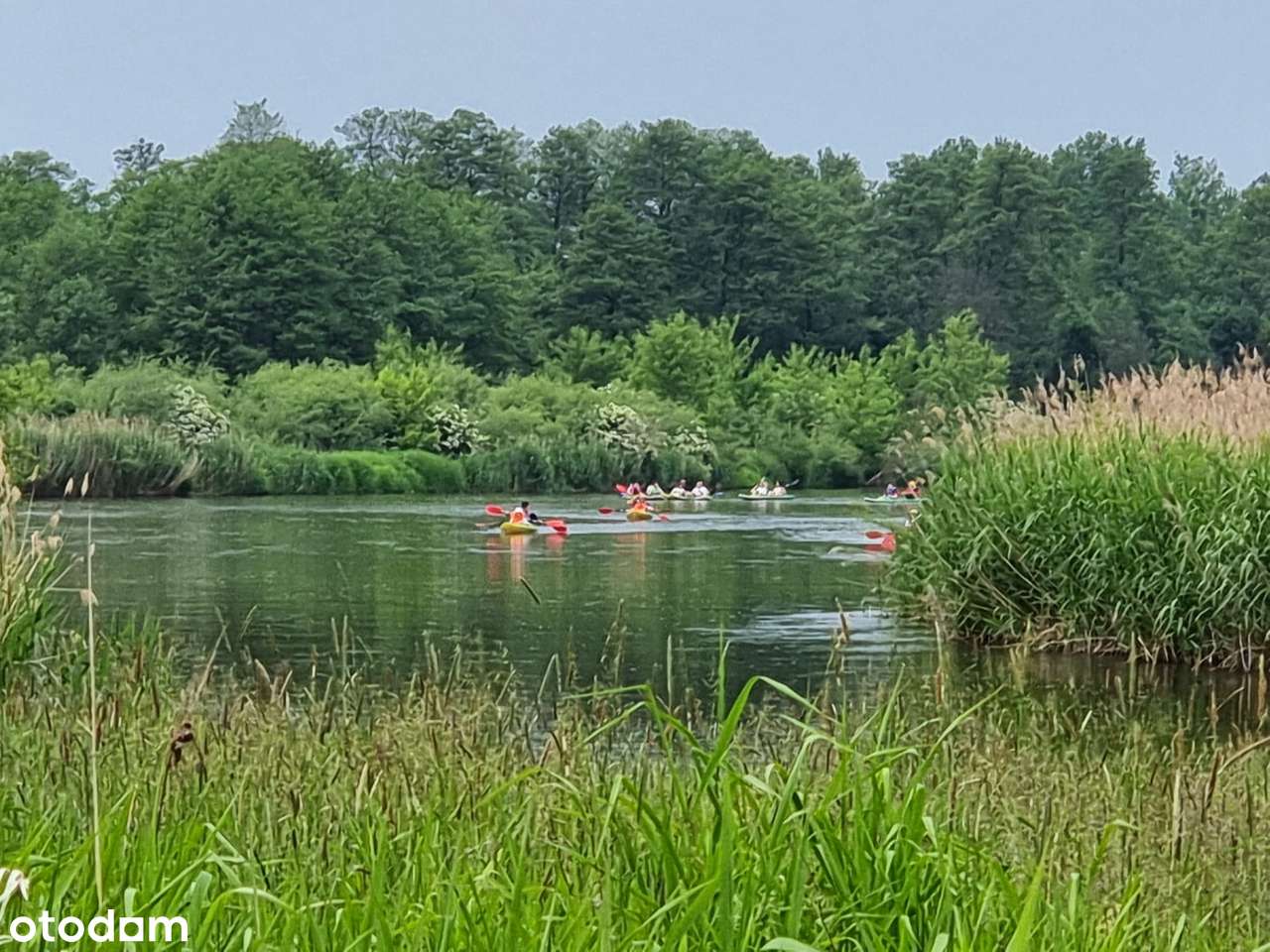 Działka leśna z WZ w pięknej okolicy-6