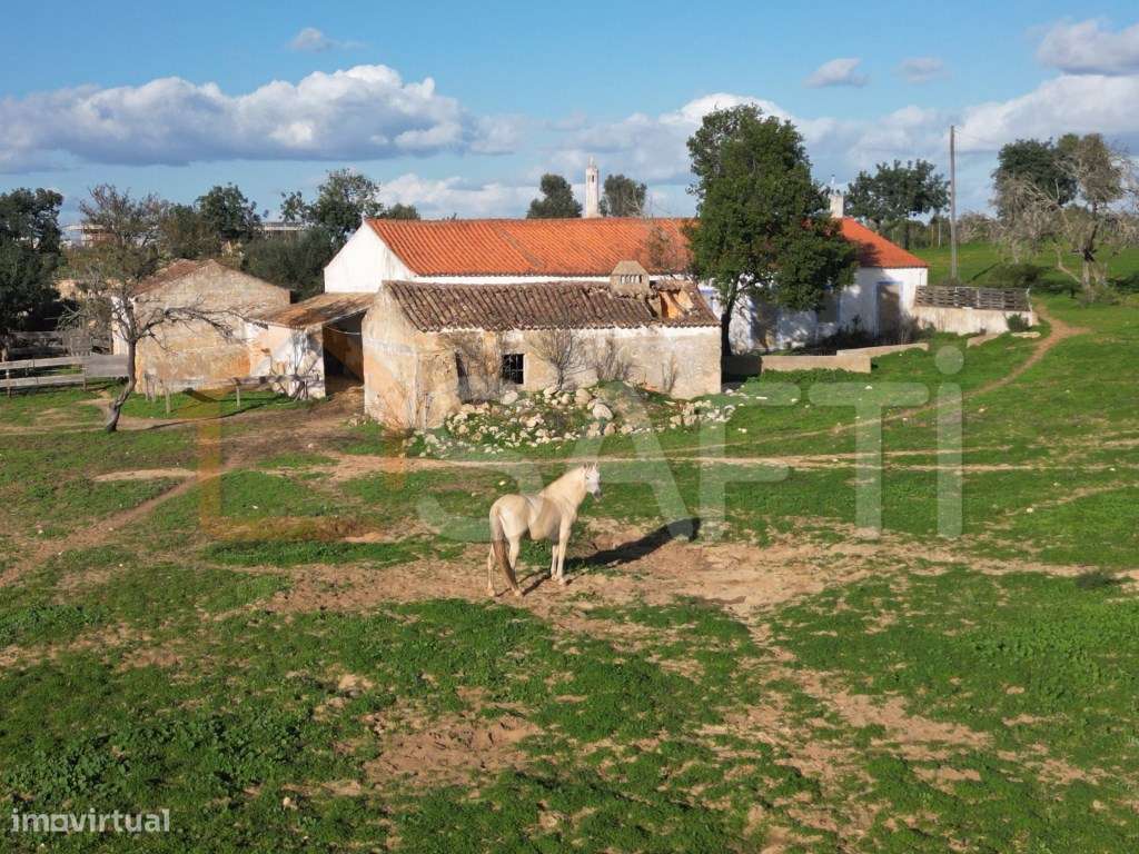 Terreno em Carvoeiro - Grande imagem: 4/18