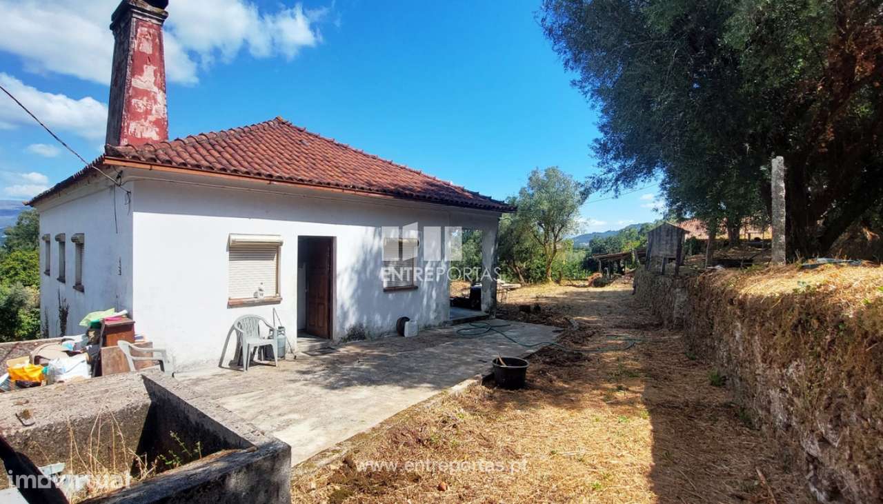Venda de quintinha rural com 5.200m², Deão, Viana do Castelo - Grande imagem: 3/33