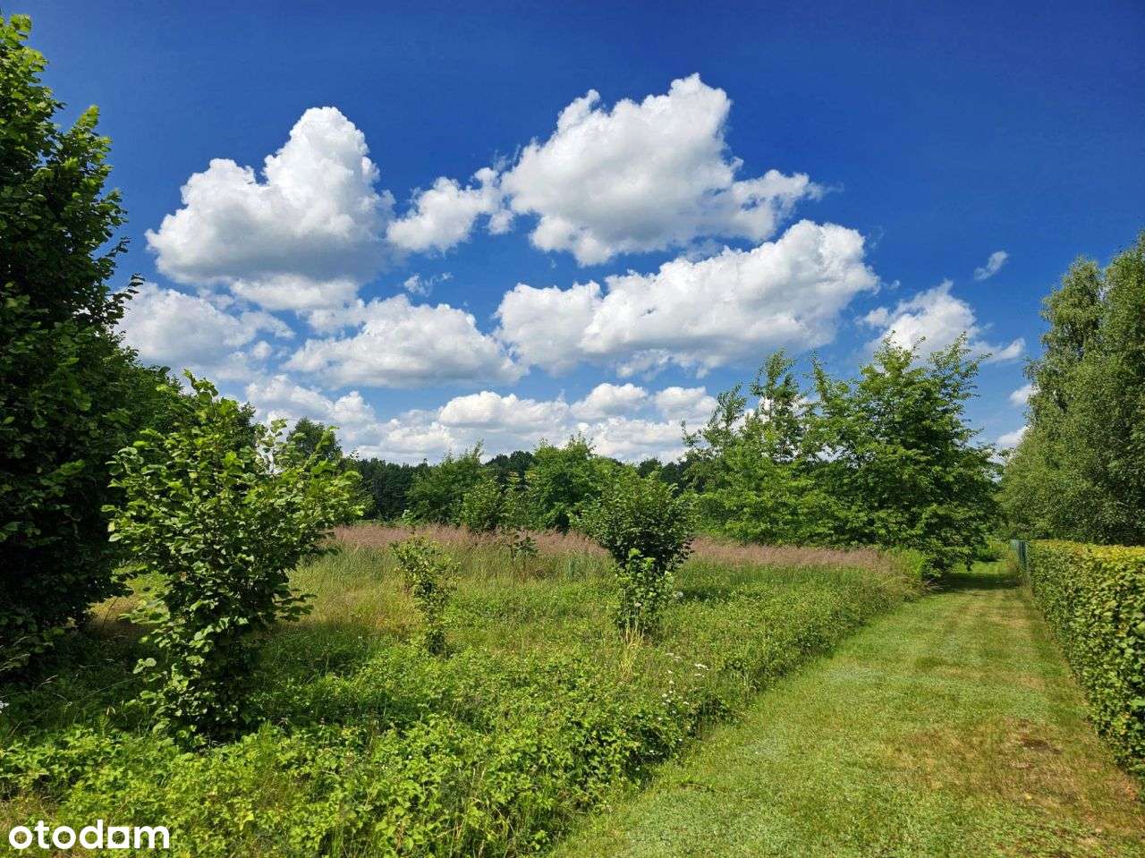 Duża działka budowlano-rolna z potencjałem-7