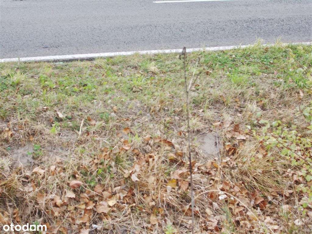 Działka Budowlana Z Warunkami Zabudowy.-5