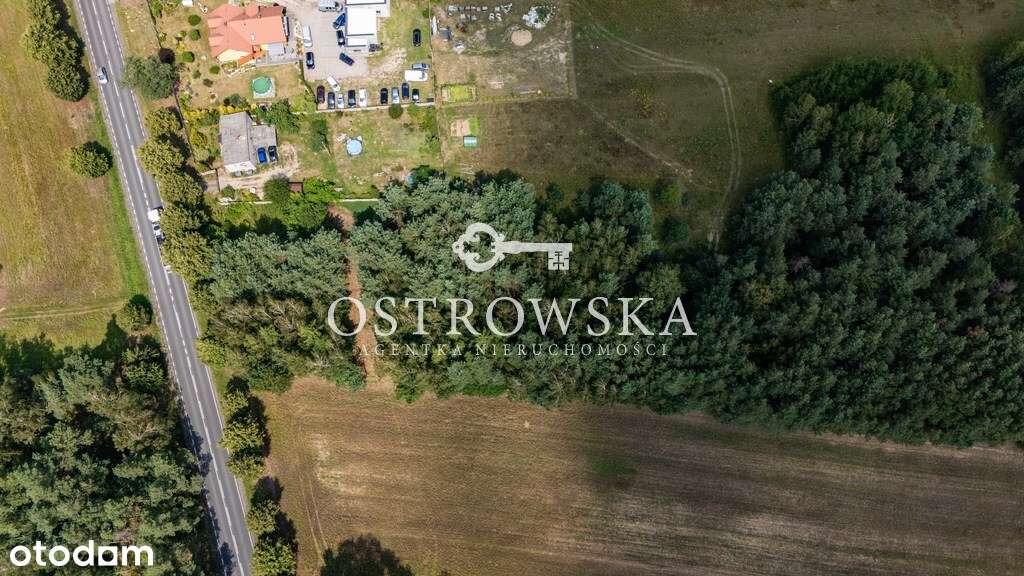 Działka rolna przy trasie Możliwość zakupu 7653 m2 - Pełny obrazek: 5/6