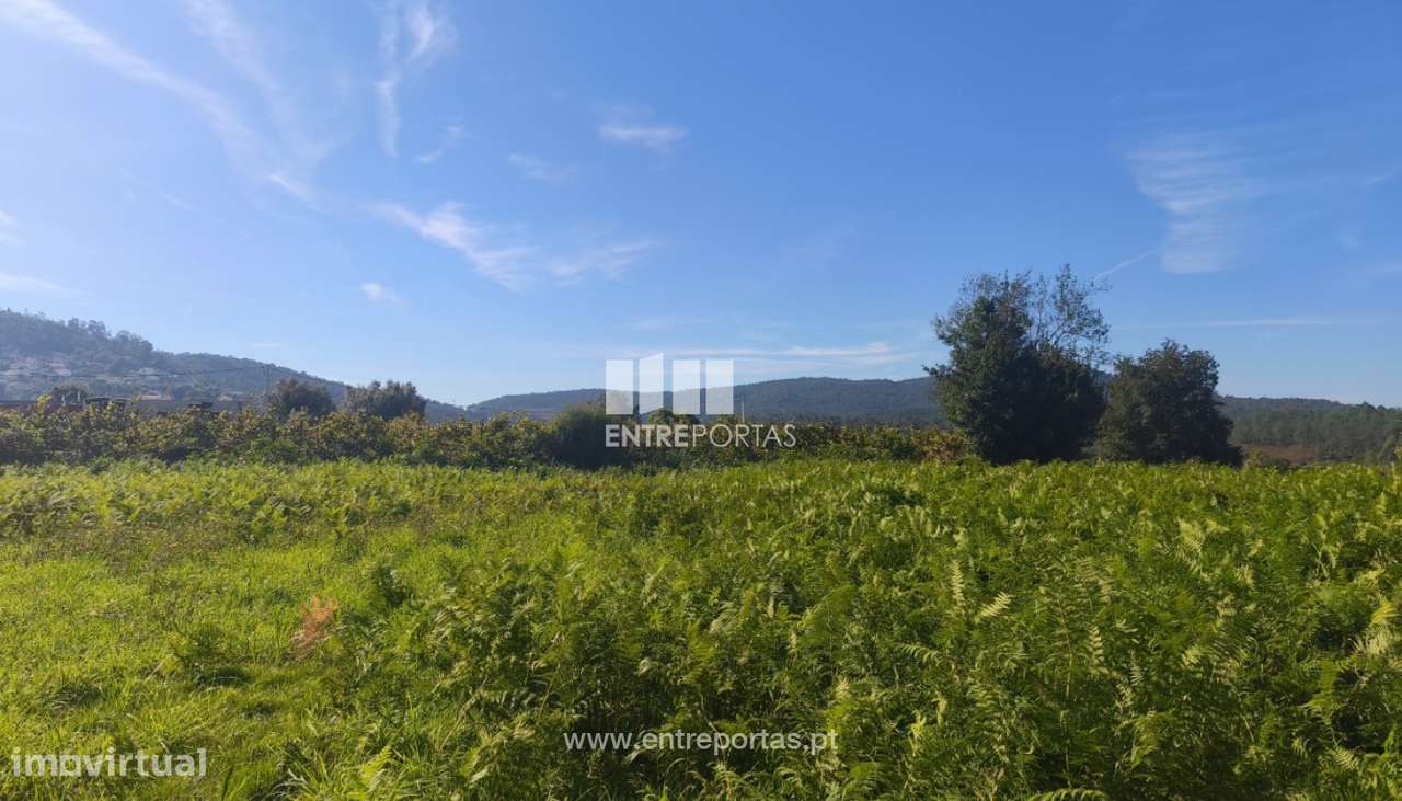 Venda de Terreno para construção, Deocriste, Viana do Castelo - Grande imagem: 5/26