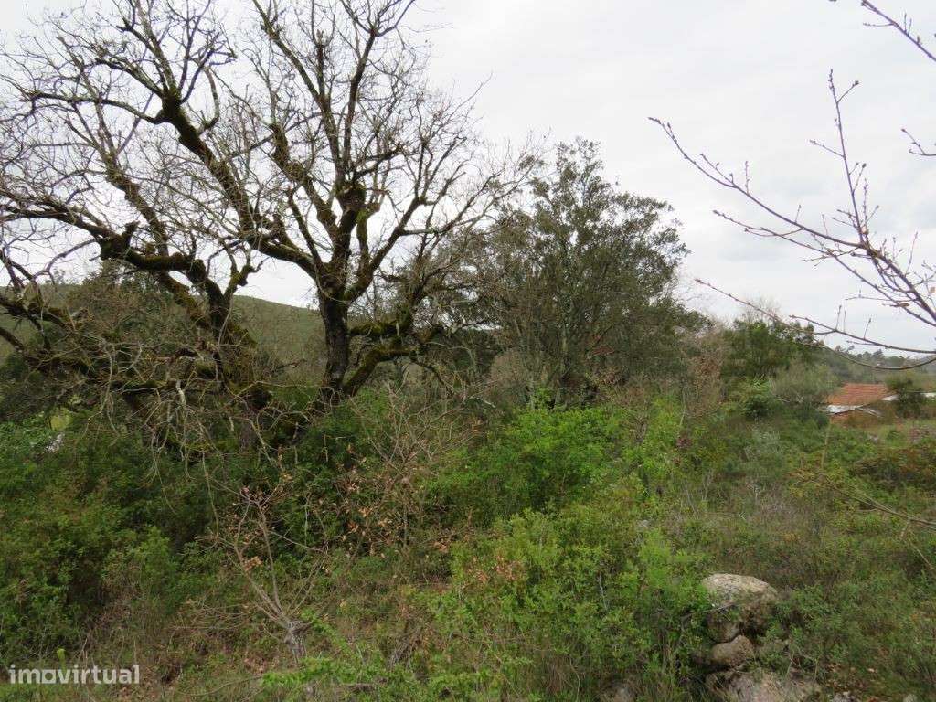 Terreno para construção de moradia - Grande imagem: 2/5