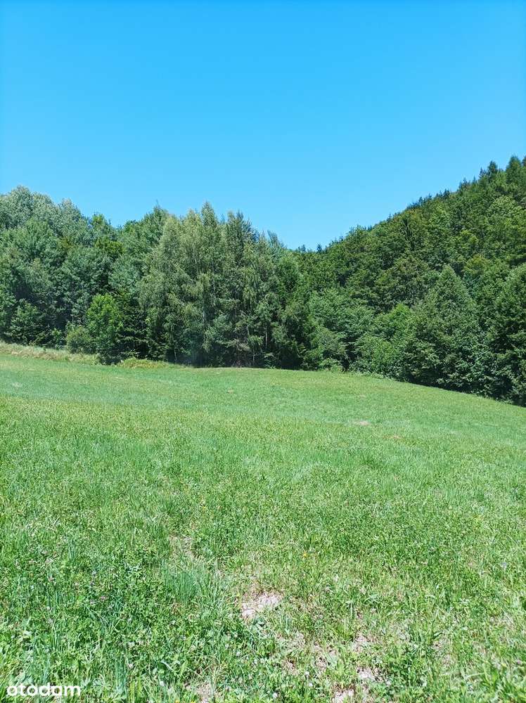 Piękna, widokowa działka budowlana przy strumyku - Pełny obrazek: 4/13