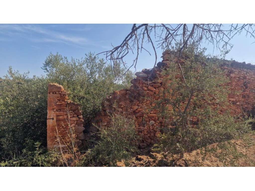 Lote de Terreno com Projeto Aprovado para Moradia V4+1, Vale Covo, ... - Grande imagem: 3/31