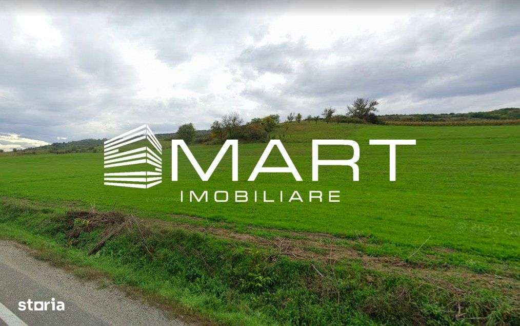Teren extravilan 42000MP Seica Mare - Sibiu - Imagine principală: 3/4