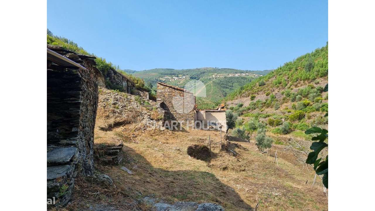 Quinta em Benfeita - Grande imagem: 5/11