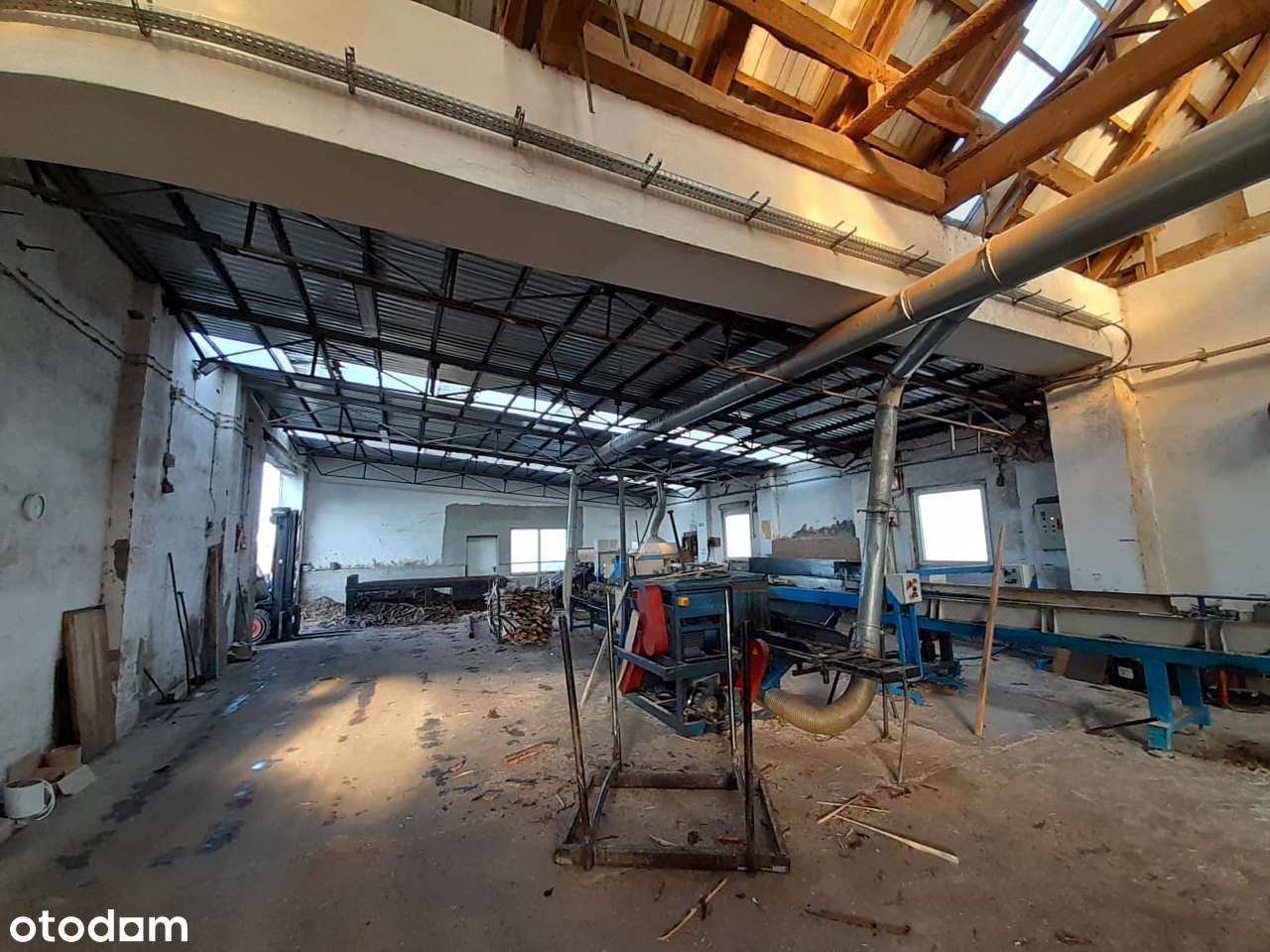 Kompleks przemysłowy – funkcjonujący tartak | 29 160 m² | Wielkopolska - Pełny obrazek: 4/20