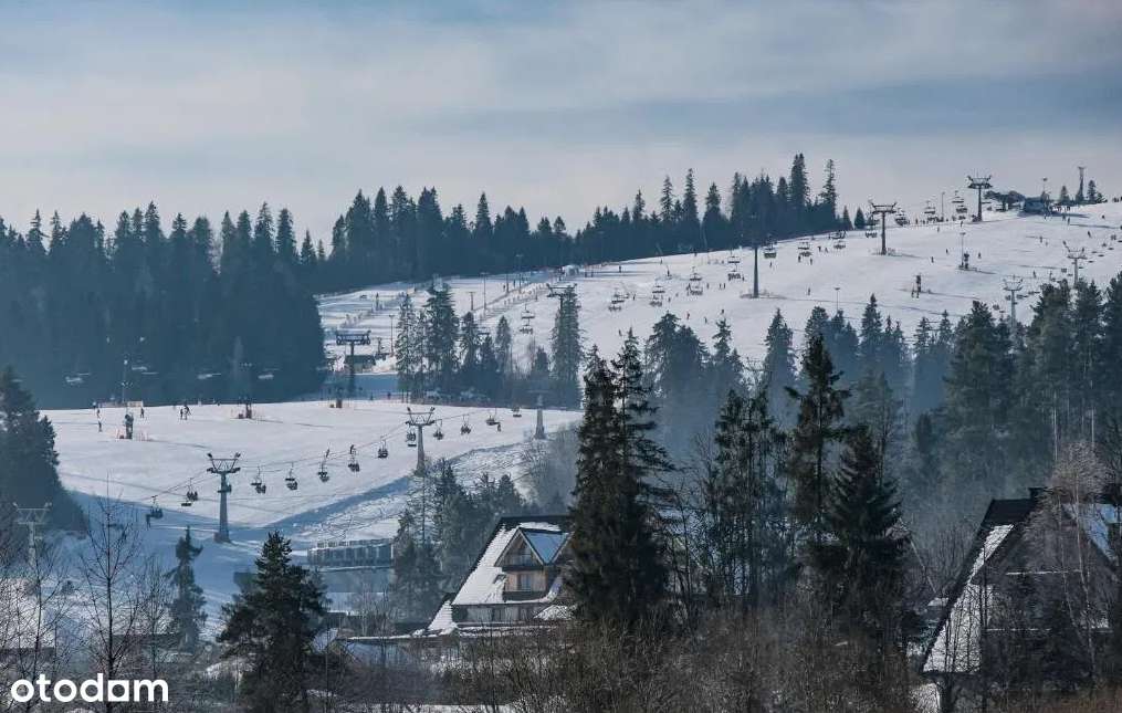 Unikatowy apartament w Białce, 12 min pieszo od stoku, sauna, jacuzzi-10