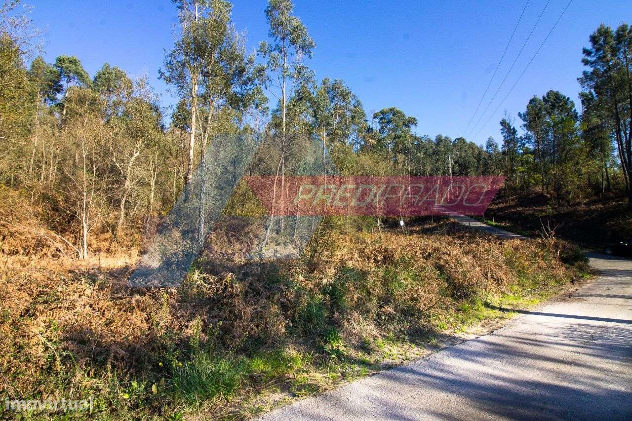 Terreno Rústico em Igreja Nova - Barcelos! - Grande imagem: 2/4